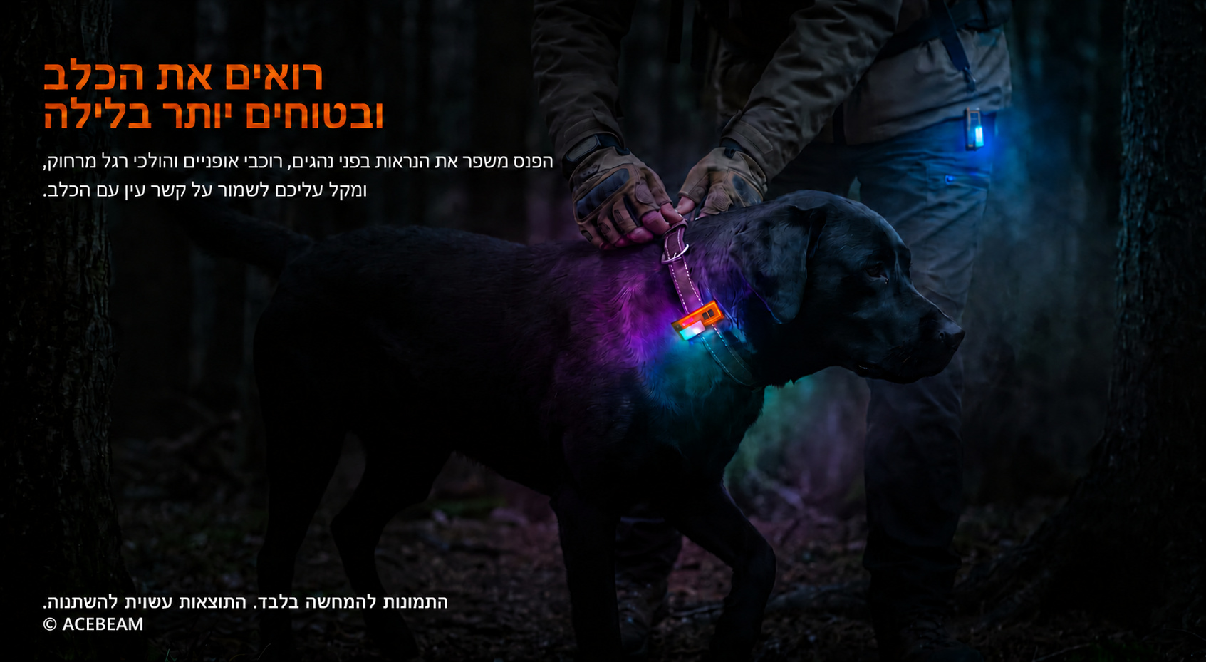 Acebeam UC3A – תאורה לכלב ונראות בלילה בעברית